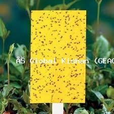 Yellow Sticky Trap for Insect & Pest Control | Eco-Friendly, Non-Toxic Flying Insect Catcher for Farms, Greenhouses, Gardens & Indoor Plants | Effective Against Whiteflies, Aphids, Thrips, Leaf Miners & Fungus Gnats | Easy to Use & Weather Resistant Pest Solution - Image 3