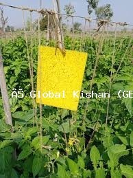 Yellow Sticky Trap for Insect & Pest Control | Eco-Friendly, Non-Toxic Flying Insect Catcher for Farms, Greenhouses, Gardens & Indoor Plants | Effective Against Whiteflies, Aphids, Thrips, Leaf Miners & Fungus Gnats | Easy to Use & Weather Resistant Pest Solution - Image 5