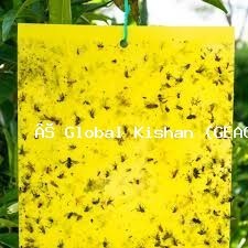 Yellow Sticky Trap for Insect & Pest Control | Eco-Friendly, Non-Toxic Flying Insect Catcher for Farms, Greenhouses, Gardens & Indoor Plants | Effective Against Whiteflies, Aphids, Thrips, Leaf Miners & Fungus Gnats | Easy to Use & Weather Resistant Pest Solution - Image 6