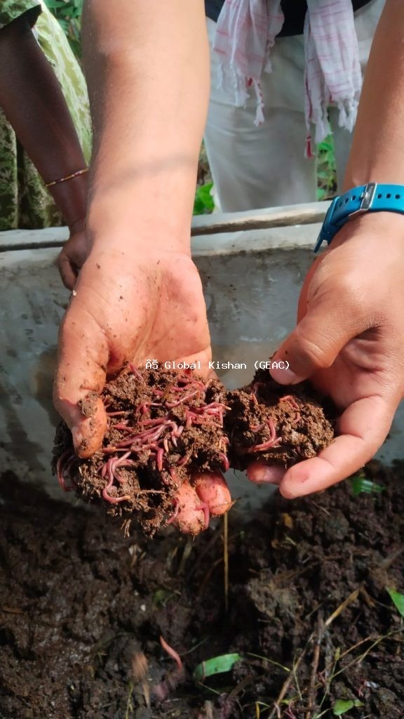 Agricultural Consultation & Soil Testing Services Across Nepal