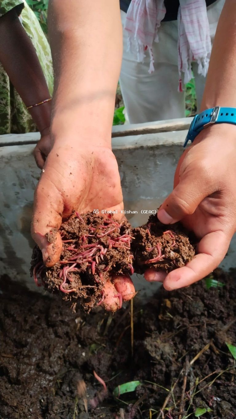 Agricultural Consultation & Soil Testing Services Across Nepal