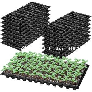 Affordable 72 cell seedling tray price in nepal for kitchen gardening