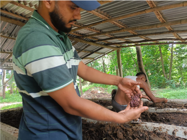 Vermiculture, Vermicompost & Tricho-Vermicompost Activities